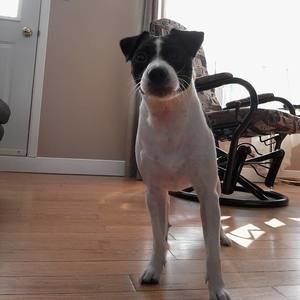 Meet your Posher, Marie josee